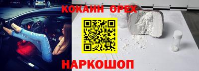 амф Обь