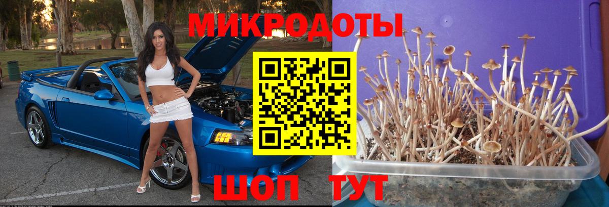 Галлюциногенные грибы ЛСД  Вход с VPN  Галлюциногенные грибы Psilocybe  Тихвин 